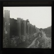 Böhl glass slide 61.3/1894c